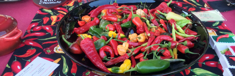 cheese-and-chilli-festival-christchurch