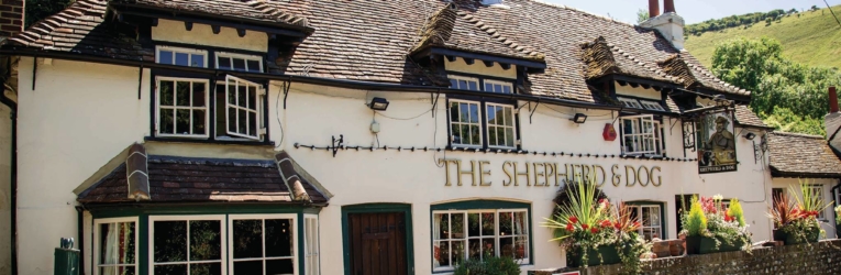 Shepherd & Dog Beer Festival