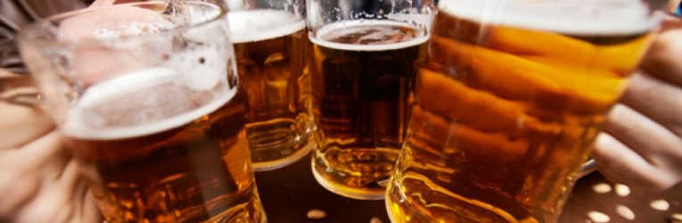 Alton Beer Festival Summer