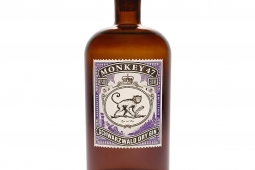 14 Best Gin Bottles – From Fancy To Unusual