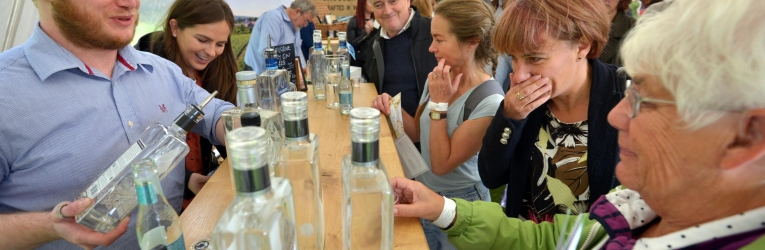 Sussex Gin And Fizz Festival